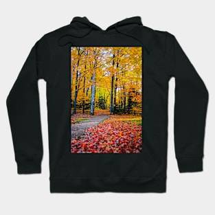 Big Bay County Park Walk Hoodie